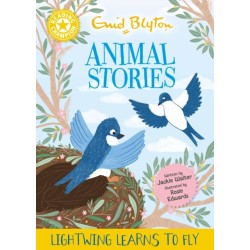 Reading Champion: Enid Blyton animal stories: Lightwing Learns to Fly: Yellow Band 3