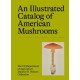 An Illustrated Catalog of American Mushrooms