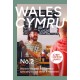 Indy Coffee Guide: Wales No 2
