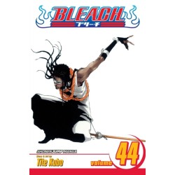 Bleach, Vol. 44: Vice It