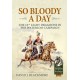So Bloody a Day: The 16th Light Dragoons in the Waterloo Campaign