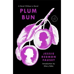 Plum Bun: A Novel Without a Moral