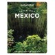 Lonely Planet Experience Mexico