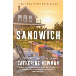 Sandwich: A Novel