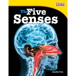 The Five Senses