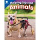 Helping Injured Animals