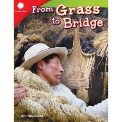 From Grass to Bridge