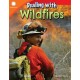 Dealing with Wildfires