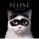 Feline: Photographs