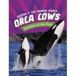 Orca Cows: Leaders of the Pod