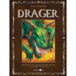 Drager - fra Smaug til Katla