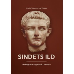 Sindets Ild: Sindssygdom og galskab i antikken