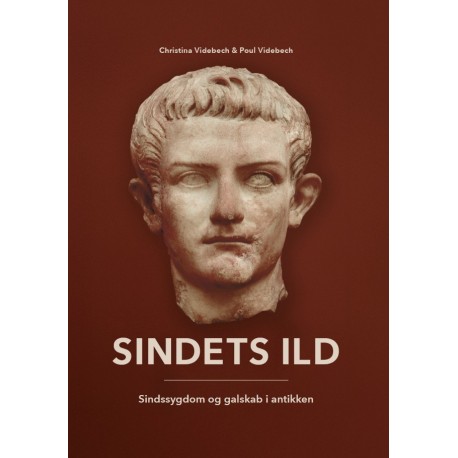 Sindets Ild: Sindssygdom og galskab i antikken