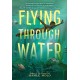 Flying Through Water