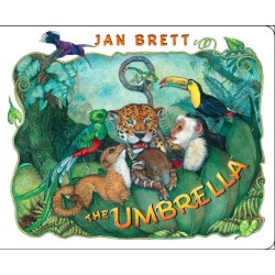 The Umbrella: board book