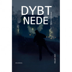 Mellem_rum. Dybt nede