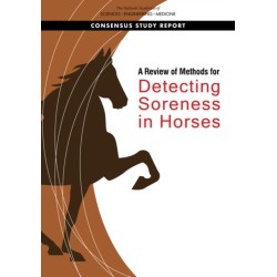 A Review of Methods for Detecting Soreness in Horses