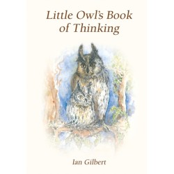 Little Owl's Book of Thinking