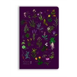 Anna Stead: For Spells & Potions (Soft Touch Journal)