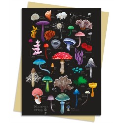 Anna Stead: Mushrooms & Fungi Greeting Card Pack: Pack of 6
