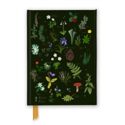 Anna Stead: The Forest Floor (Foiled Journal)
