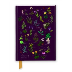 Anna Stead: For Spells & Potions (Foiled Journal)