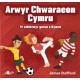 Arwyr Chwaraeon Cymru
