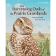 The Burrowing Owls of the Prairie Grasslands