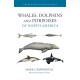 Whales, Dolphins, and Porpoises of North America
