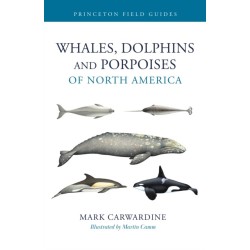 Whales, Dolphins, and Porpoises of North America