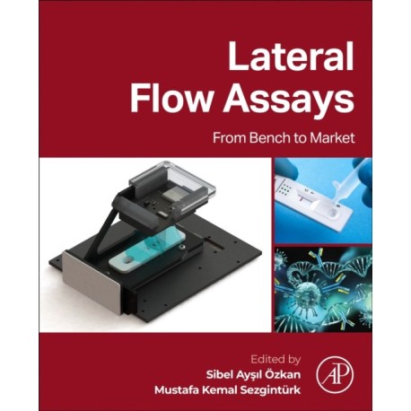 Lateral Flow Assays: From Bench to Market
