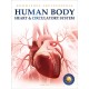 Knowledge Encyclopedia For Children - Human Body : Heart And Circulatory System