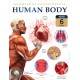 Knowledge Encyclopedia For Children: Human Body: Boxset of 6 books