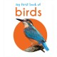 My First Book of Birds: First Board Book
