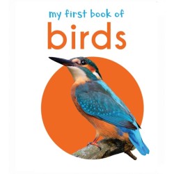 My First Book of Birds: First Board Book