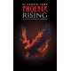 Phoenix Rising: My Journey with Bipolar Disorder
