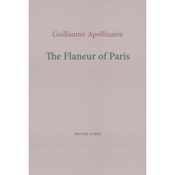 The Flaneur of Paris