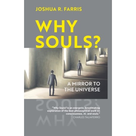 Why Souls?: A Mirror to the Universe