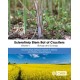 Sclerotinia Stem Rot of Crucifers, Volume 1: Biology and Ecology