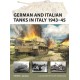 German and Italian Tanks in Italy 1943–45
