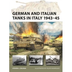 German and Italian Tanks in Italy 1943–45