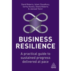 Business Resilience: A Practical Guide to Sustained Progress Delivered at Pace