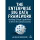 The Enterprise Big Data Framework: Building Critical Capabilities to Win in the Data Economy