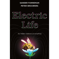 Electric Life: The Hidden Radiance of Everything