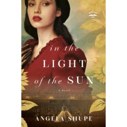 In the Light of the Sun: A Novel