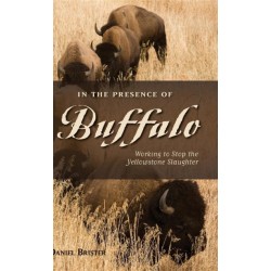 In the Presence of Buffalo: Working to Stop the Yellowstone Slaughter
