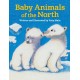 Baby Animals of the North