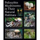 Psilocybin Mushrooms in Their Natural Habitats: A Guide to the History, Identification, and Use of Psychoactive Fungi