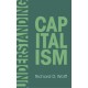 Understanding Capitalism