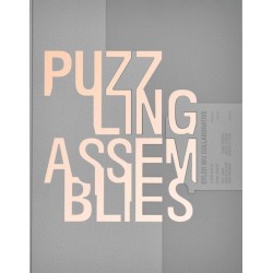 Puzzling Assemblies